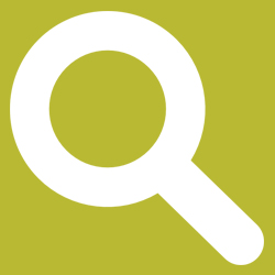SEO Services